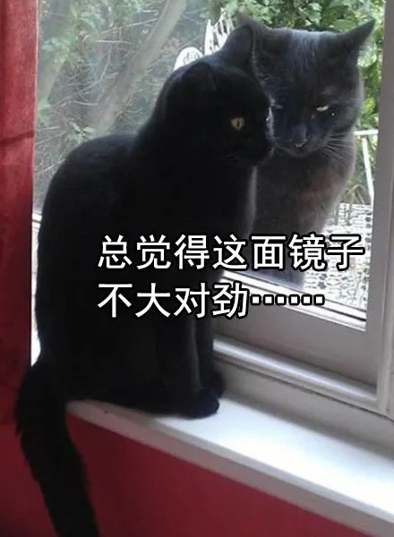总觉得这面镜子不大对劲。。。