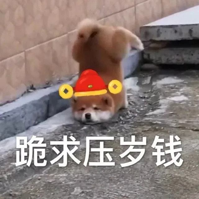 跪求压岁钱