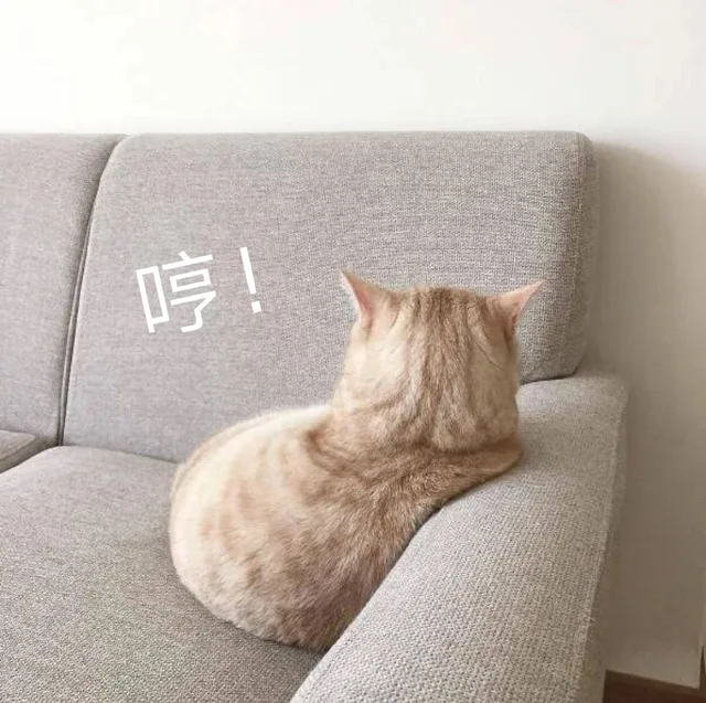 哼！不理你了