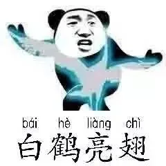 白鹤亮翅（白鹤亮翅）