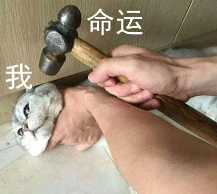 命运把我安排得明明白白