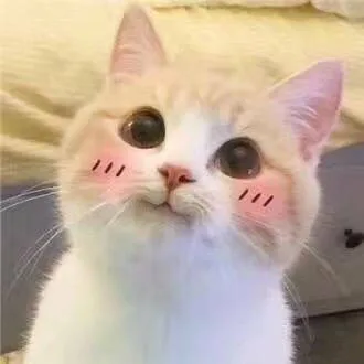 一脸乖巧