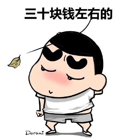 三十块钱左右的