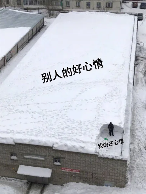 别人的好心情 vs 我的好心情（雪地）