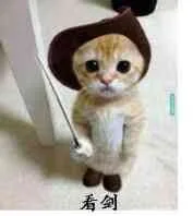 看剑