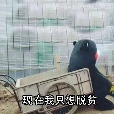 现在我只想脱贫（现在我只想脱贫）