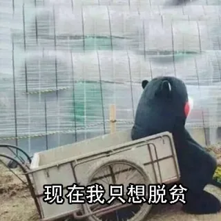 现在我只想脱贫