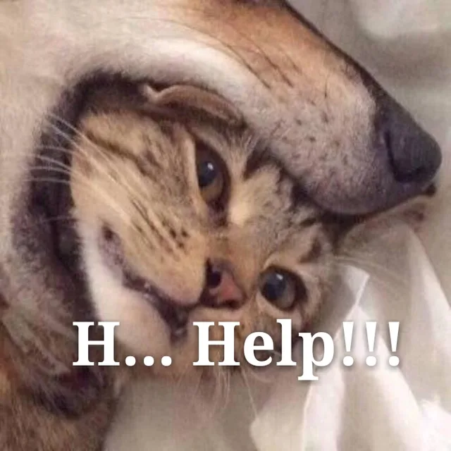 H 。。。help！（救命）