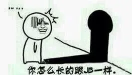 你怎么长得跟 JB 一样