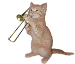 猫咪演奏 GIF 动图（猫咪演奏 GIF 动图）