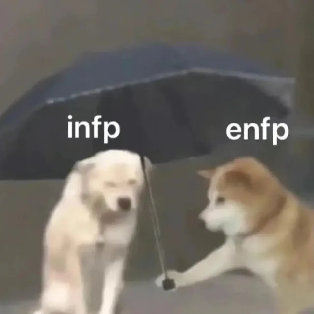 infpenfp（infpenfp）