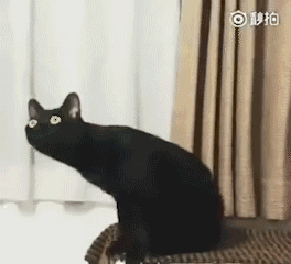 疑惑？？？