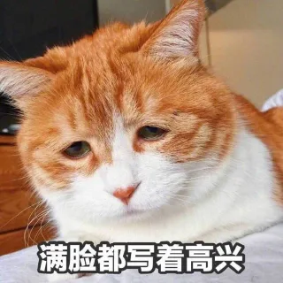 满脸写着高兴 _喵星人表情包