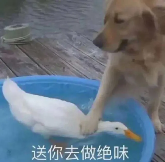 送你去做绝味（送你去做绝味）