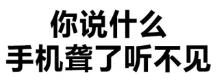 你说什么 手机聋了听不见