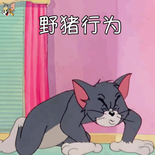 野猪行为 汤姆猫表情包