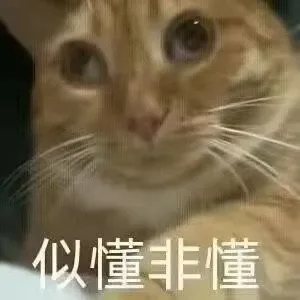 似懂非懂（似懂非懂）