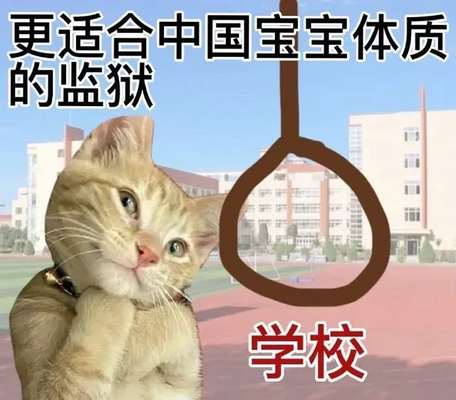 更适合中国宝宝体质的监狱学校