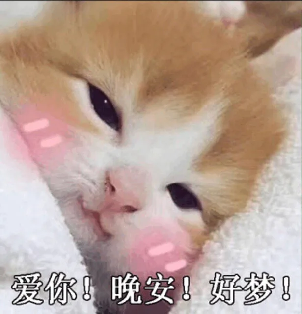 爱你！晚安！好梦！