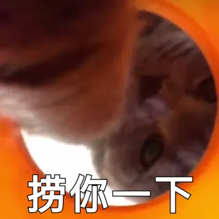 一波喵星人表情包_猫表情包