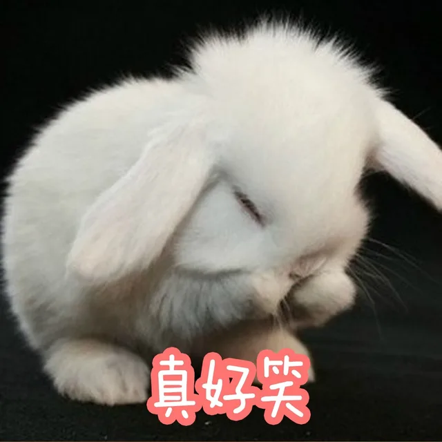 直好笑（直好笑）