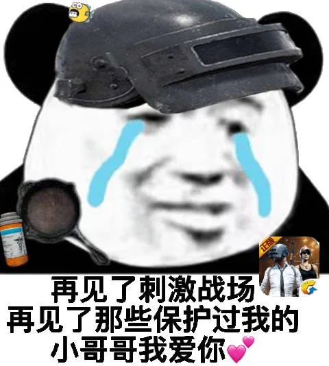 再见了刺激战场再见了那些保护过我的小哥哥 我爱你