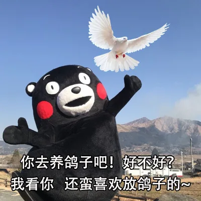 你去养鸽子吧!好不好?我看你还蛮喜欢放鸽子的（你去养鸽子吧!好不好?我看你还蛮喜欢放鸽子的）
