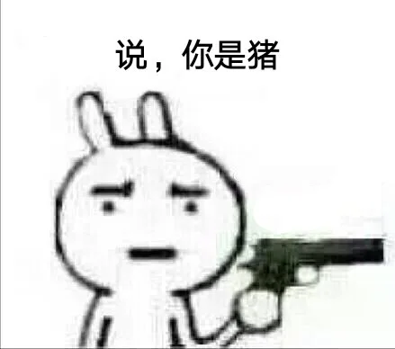 你是猪吗