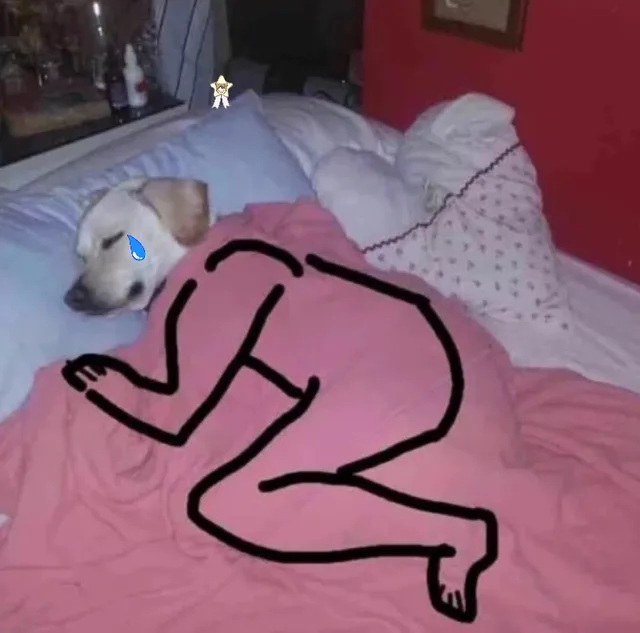 狗狗落泪（狗狗落泪）