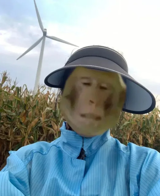 D(吗喽表情包)（D(吗喽表情包)）