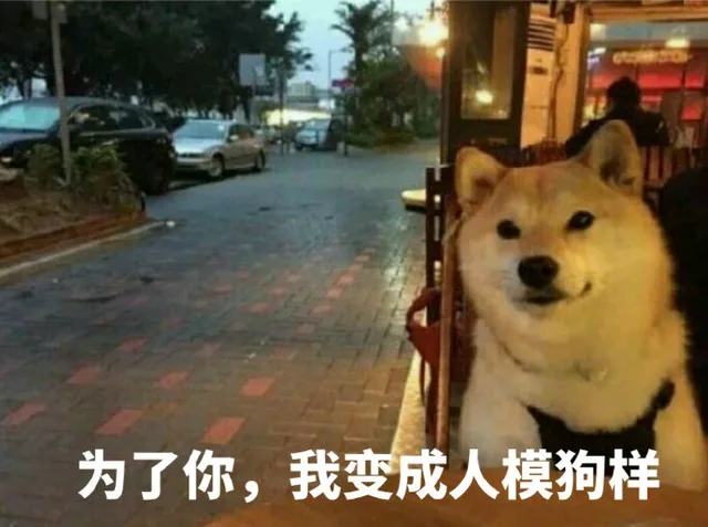 为了你，我变成人模狗样