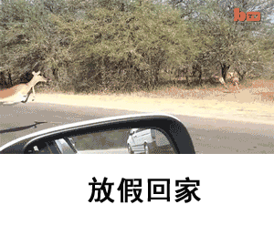 放假回家