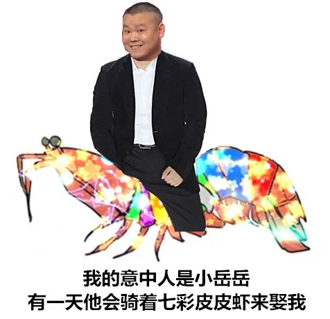 我的意中人叫小岳岳，有一天他会骑着七彩皮皮虾来娶我