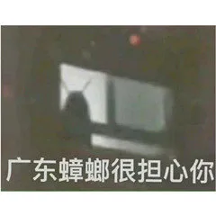 广东蟑螂很担心你（广东蟑螂很担心你）