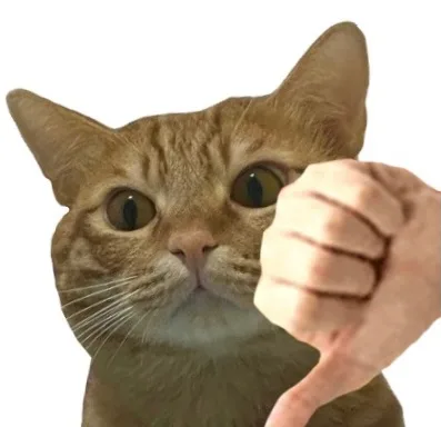 (不行)（(不行)）