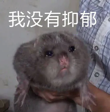 竹鼠表情包：我没有抑郁（竹鼠表情包：我没有抑郁）
