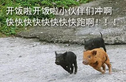 开饭啦开饭啦小伙伴们冲啊 快快快跑啊！