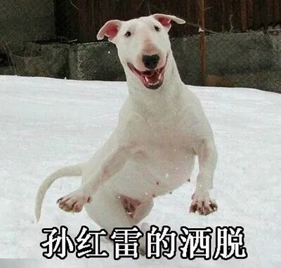 孙红雷的洒脱（孙红雷的洒脱）