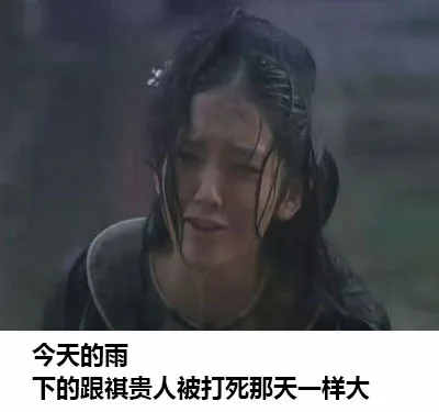 今天的雨下的跟祺贵人被打死那天一样大（今天的雨下的跟祺贵人被打死那天一样大）