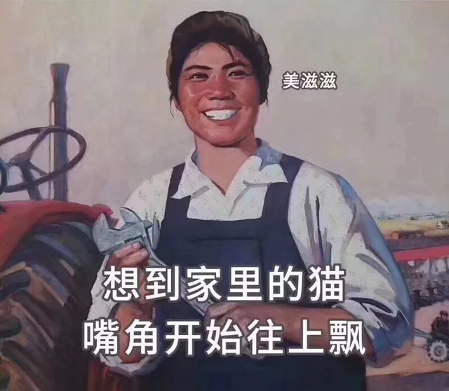 想到家里的猫 嘴角开始往上飘（想到家里的猫 嘴角开始往上飘）