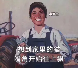 想到家里的猫 嘴角开始往上飘