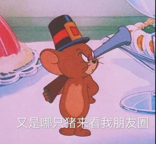 又是哪只猪来看我朋友圈