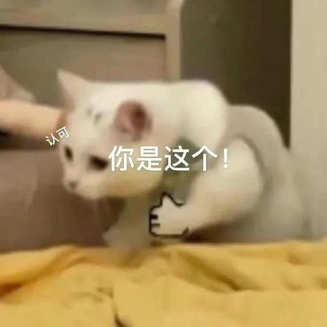 认可你是这个！（认可你是这个！）