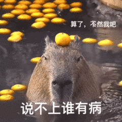 算了，不然我吧说不上谁有病(水豚表情包)（算了，不然我吧说不上谁有病(水豚表情包)）
