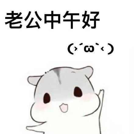 老公中午好（老公中午好）