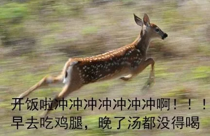 开饭啦，小伙伴们快跑啊_开饭_吃饭_群聊