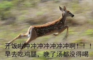 开饭啦，小伙伴们快跑啊_开饭_吃饭_群聊