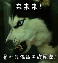 来来来！爸比我保证不砍死你！