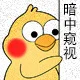 一组鹦鹉兄弟暗中观察小表情_鹦鹉兄弟