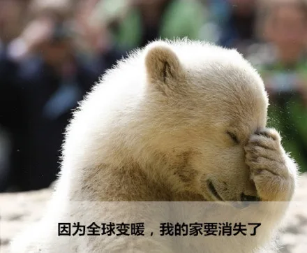 因为全球变暖，我的家要消失了（因为全球变暖，我的家要消失了）